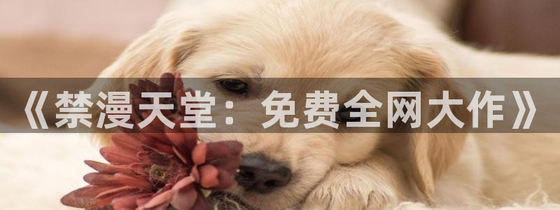 羞羞漫画裸：《禁漫天堂：免费全网大作》