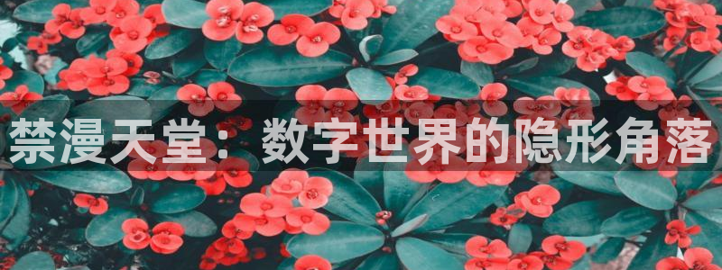 漂亮干姊姊羞羞漫画：禁漫天堂：数字世界的隐形角落