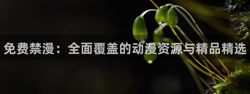 纲手漫画羞羞漫画免费：免费禁漫：全面覆盖的动漫资源与精品精选
