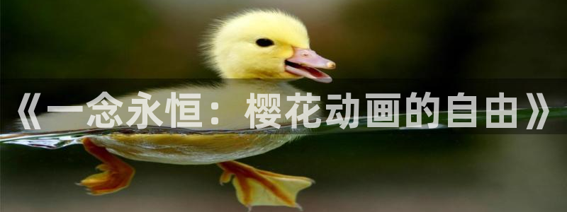 羞羞漫画在线登录免费看：《一念永恒：樱花动画的自由》