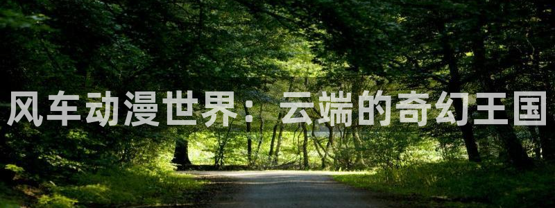 男人和女人羞羞漫画：风车动漫世界：云端的奇幻王国